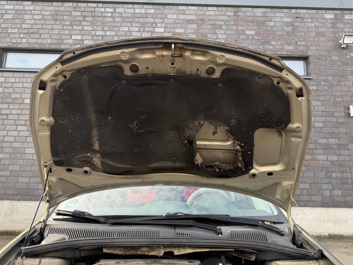 Fiat Sedici 189 FY original Motorhaube 984 Sandmetallic BJ08